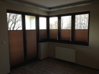 plisy kraków foto